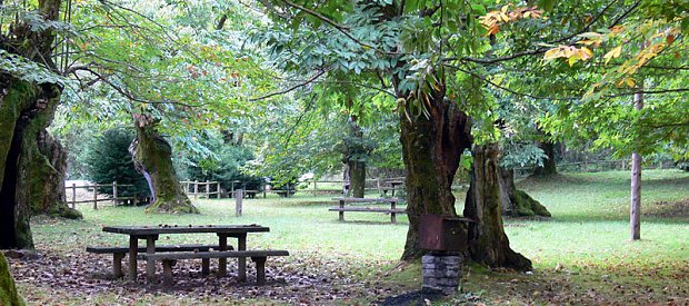 Áreas recreativas en Asturias